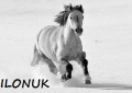 ILONUK