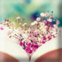 Lilien