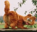 Kikatka