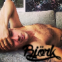 Bjork
